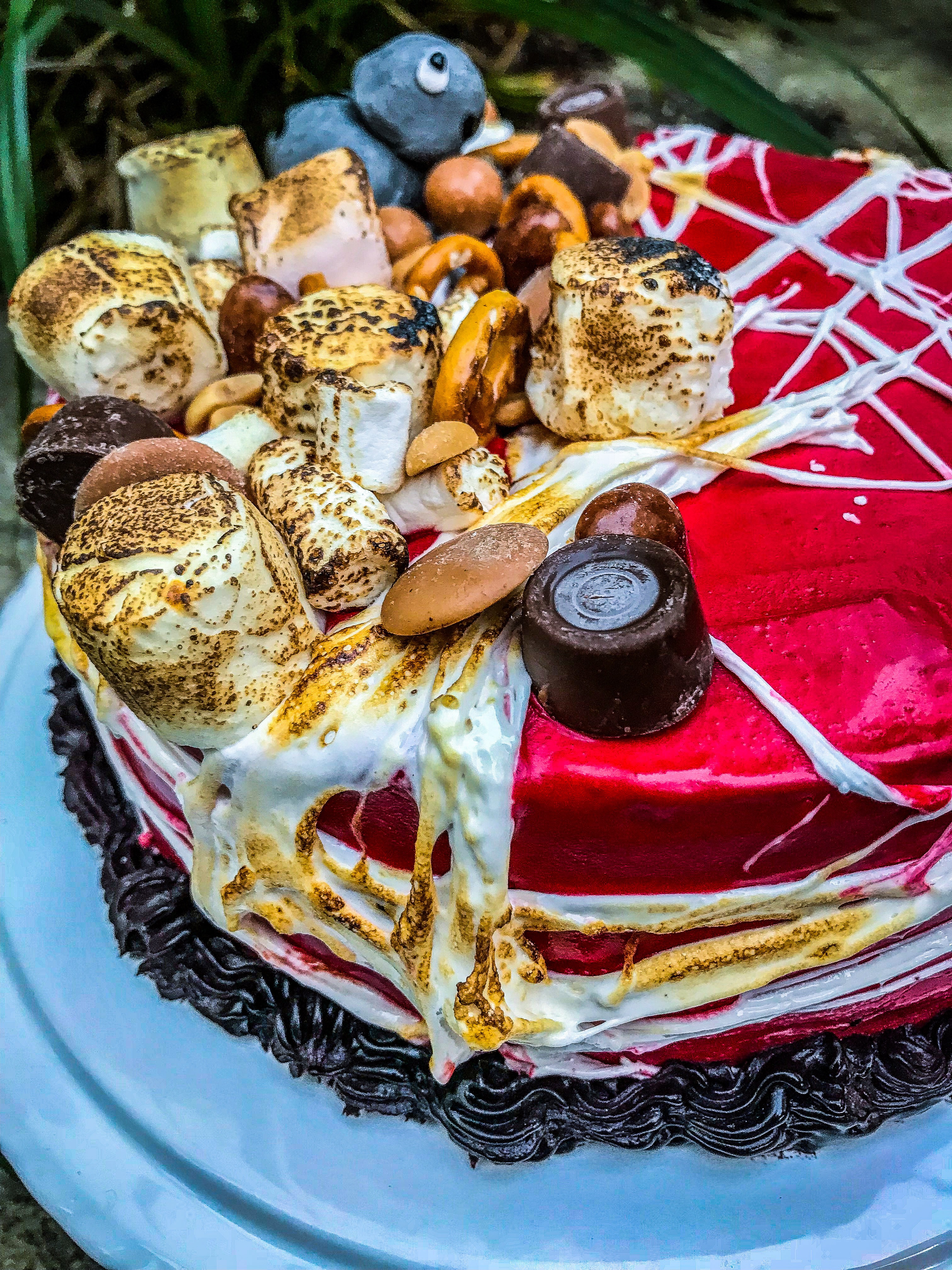 Malted Chocolate and Hazelnut Cake