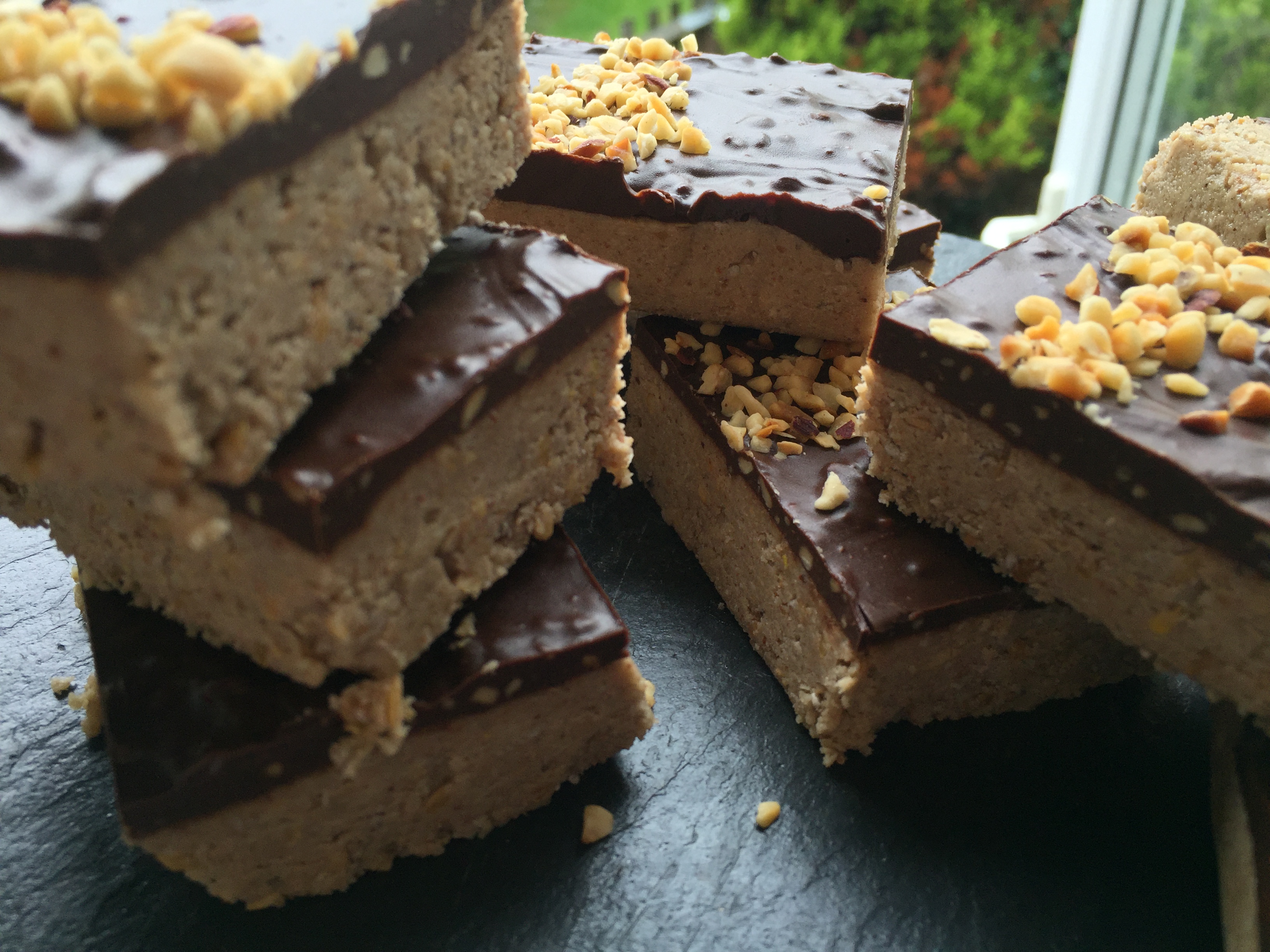 No Bake Wholesome Protein Bars