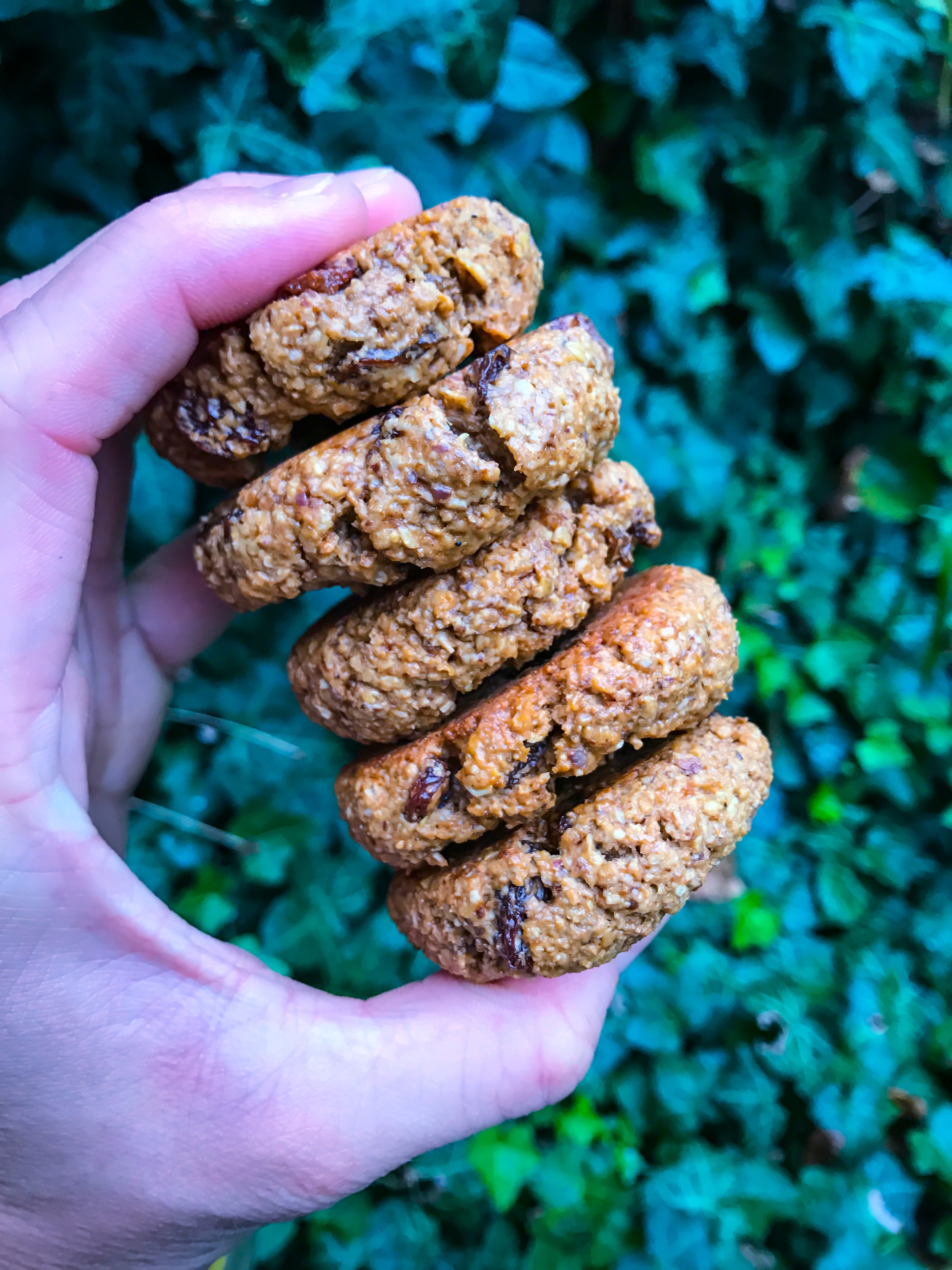 Cashew and Raisin Oatmeal Cookies