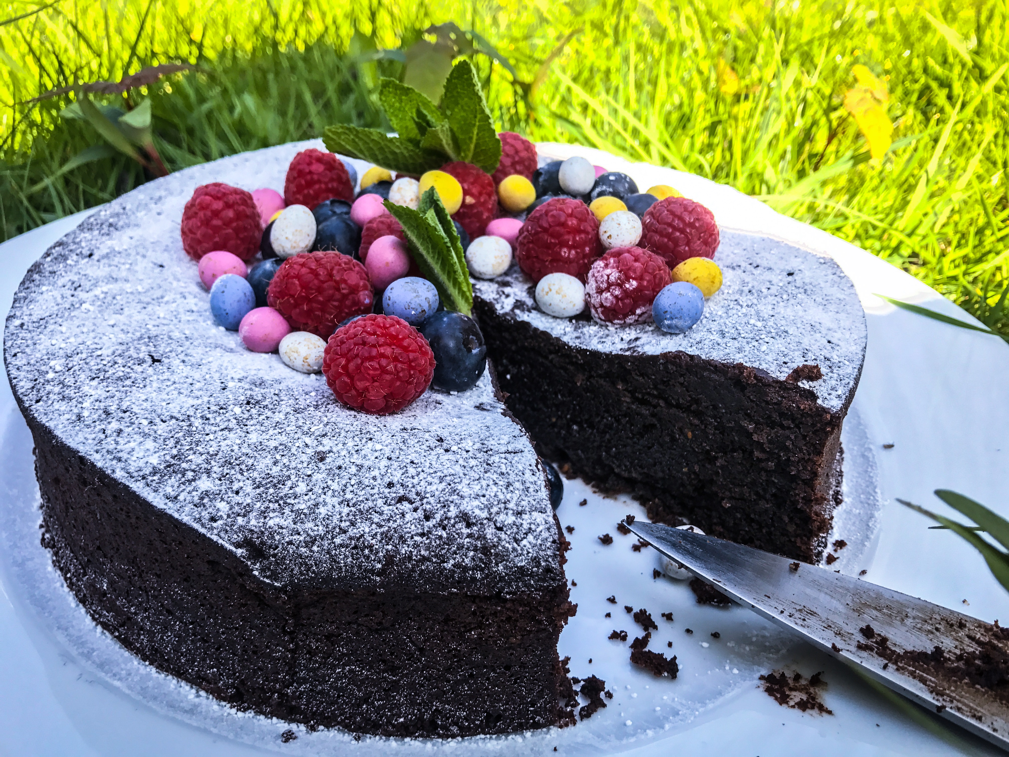 Fudgy Mulberry and Almond Chocolate Torte