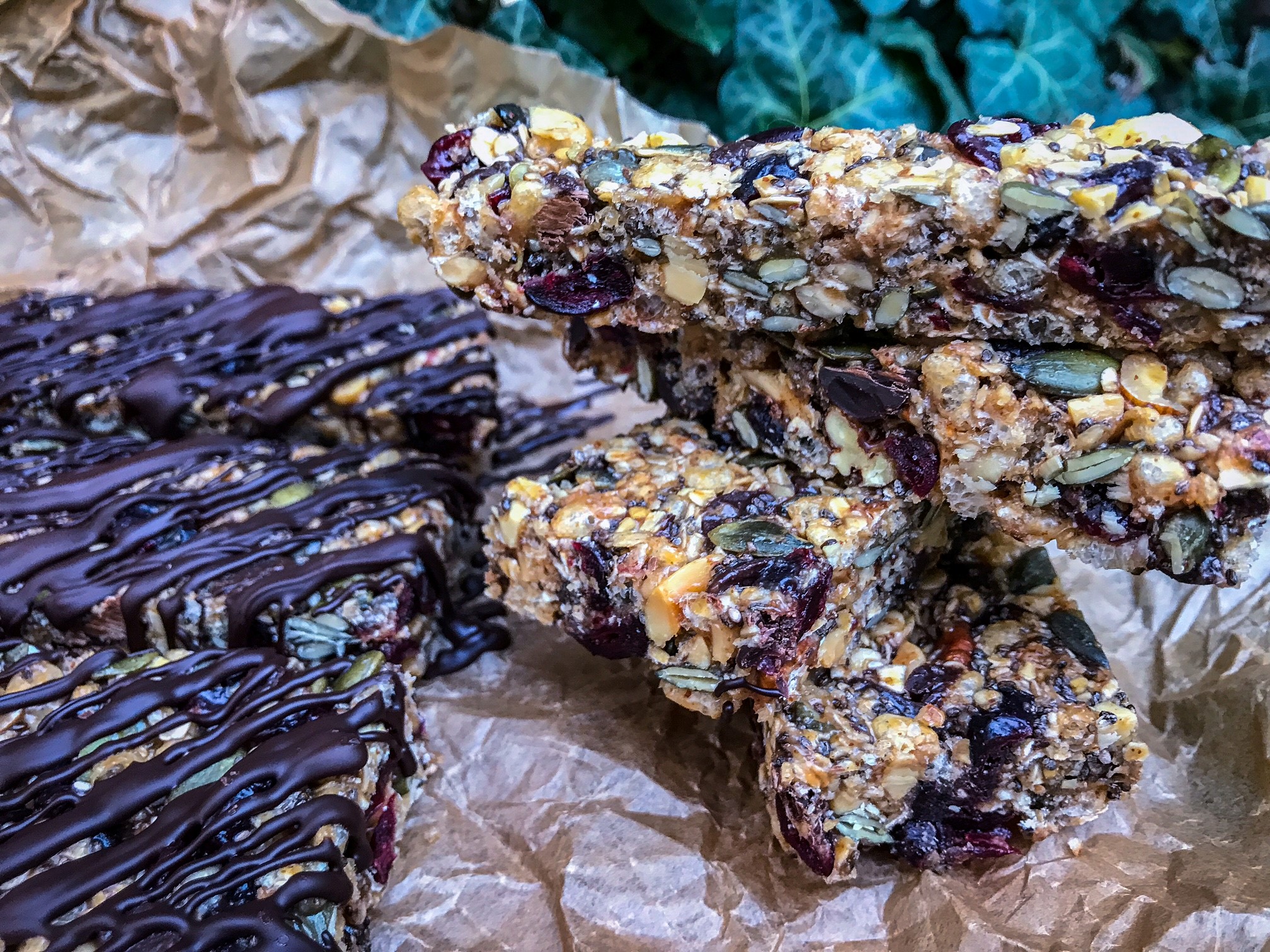 Vegan No Bake Sweet and Salty Granola Bars